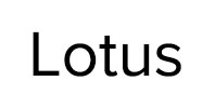 Ремонт стиральных машин Lotus в Москве